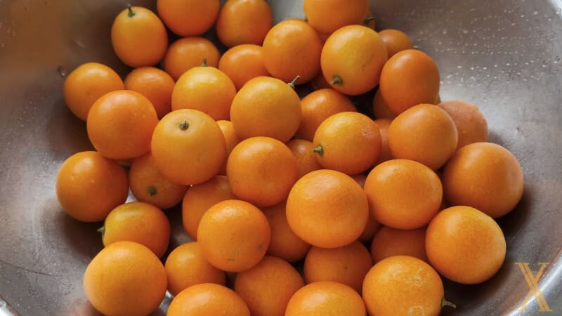Kumquat benefits
