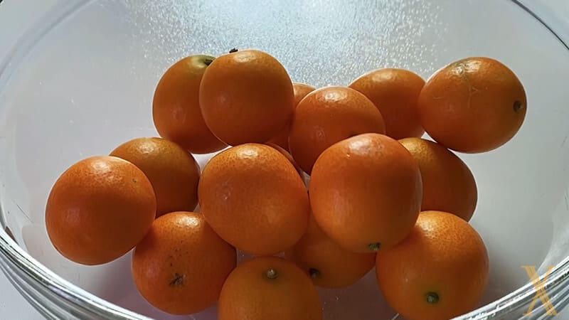 Kumquats Side Effects